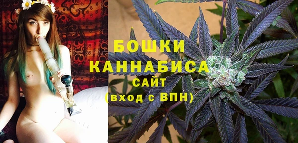 твердый Володарск