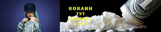 дживик Волоколамск