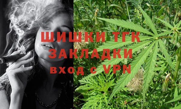 твердый Володарск