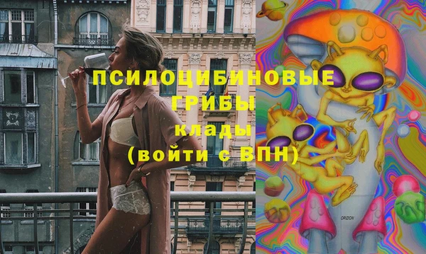 дживик Волоколамск