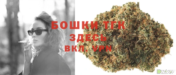 твердый Володарск